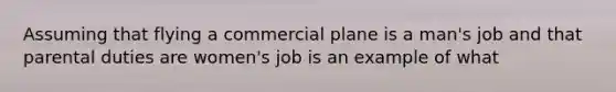 Assuming that flying a commercial plane is a man's job and that parental duties are women's job is an example of what