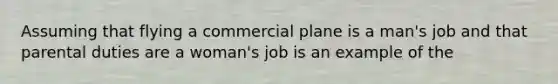 Assuming that flying a commercial plane is a man's job and that parental duties are a woman's job is an example of the