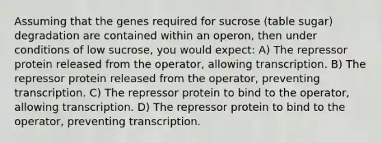 Assuming that the genes required for sucrose (table sugar) degradation are contained within an operon, then under conditions of low sucrose, you would expect: A) The repressor protein released from the operator, allowing transcription. B) The repressor protein released from the operator, preventing transcription. C) The repressor protein to bind to the operator, allowing transcription. D) The repressor protein to bind to the operator, preventing transcription.