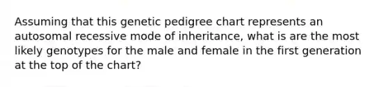 Assuming that this genetic pedigree chart represents an autosomal recessive mode of inheritance, what is are the most likely genotypes for the male and female in the first generation at the top of the chart?