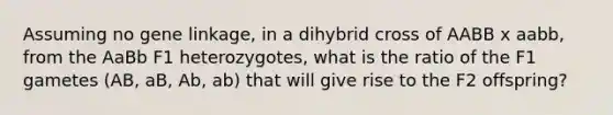 Assuming no gene linkage, in a dihybrid cross of AABB x aabb, from the AaBb F1 heterozygotes, what is the ratio of the F1 gametes (AB, aB, Ab, ab) that will give rise to the F2 offspring?