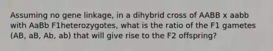 Assuming no gene linkage, in a dihybrid cross of AABB x aabb with AaBb F1heterozygotes, what is the ratio of the F1 gametes (AB, aB, Ab, ab) that will give rise to the F2 offspring?