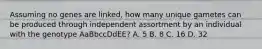 Assuming no genes are linked, how many unique gametes can be produced through independent assortment by an individual with the genotype AaBbccDdEE? A. 5 B. 8 C. 16 D. 32