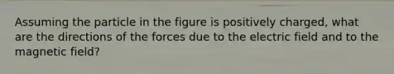 Assuming the particle in the figure is positively charged, what are the directions of the forces due to the electric field and to the magnetic field?