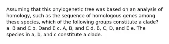 Assuming that this phylogenetic tree was based on an analysis of homology, such as the sequence of homologous genes among these species, which of the following groups constitute a clade? a. B and C b. Dand E c. A, B, and C d. B, C, D, and E e. The species in a, b, and c constitute a clade.