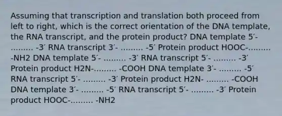 Assuming that <a href='https://www.questionai.com/knowledge/kWsjwWywkN-transcription-and-translation' class='anchor-knowledge'>transcription and translation</a> both proceed from left to right, which is the correct orientation of the DNA template, the RNA transcript, and the protein product? DNA template 5′- ......... -3′ RNA transcript 3′- ......... -5′ Protein product HOOC-......... -NH2 DNA template 5′- ......... -3′ RNA transcript 5′- ......... -3′ Protein product H2N-......... -COOH DNA template 3′- ......... -5′ RNA transcript 5′- ......... -3′ Protein product H2N- ......... -COOH DNA template 3′- ......... -5′ RNA transcript 5′- ......... -3′ Protein product HOOC-......... -NH2