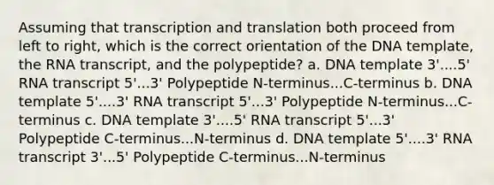 Assuming that transcription and translation both proceed from left to right, which is the correct orientation of the DNA template, the RNA transcript, and the polypeptide? a. DNA template 3'....5' RNA transcript 5'...3' Polypeptide N-terminus...C-terminus b. DNA template 5'....3' RNA transcript 5'...3' Polypeptide N-terminus...C-terminus c. DNA template 3'....5' RNA transcript 5'...3' Polypeptide C-terminus...N-terminus d. DNA template 5'....3' RNA transcript 3'...5' Polypeptide C-terminus...N-terminus