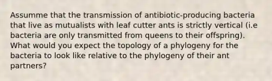 Assumme that the transmission of antibiotic-producing bacteria that live as mutualists with leaf cutter ants is strictly vertical (i.e bacteria are only transmitted from queens to their offspring). What would you expect the topology of a phylogeny for the bacteria to look like relative to the phylogeny of their ant partners?