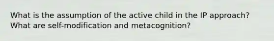 What is the assumption of the active child in the IP approach? What are self-modification and metacognition?