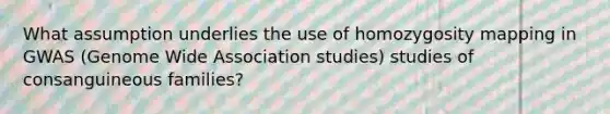 What assumption underlies the use of homozygosity mapping in GWAS (Genome Wide Association studies) studies of consanguineous families?