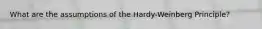 What are the assumptions of the Hardy-Weinberg Principle?