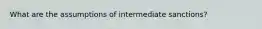 What are the assumptions of intermediate sanctions?