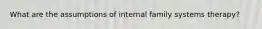 What are the assumptions of internal family systems therapy?