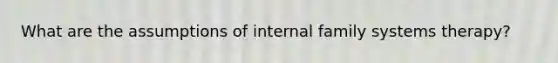 What are the assumptions of internal family systems therapy?