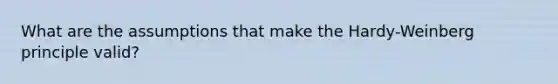 What are the assumptions that make the Hardy-Weinberg principle valid?