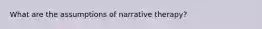 What are the assumptions of narrative therapy?