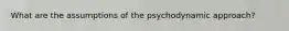 What are the assumptions of the psychodynamic approach?