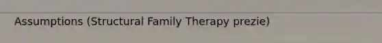 Assumptions (Structural Family Therapy prezie)