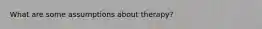 What are some assumptions about therapy?