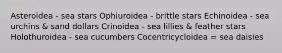 Asteroidea - sea stars Ophiuroidea - brittle stars Echinoidea - sea urchins & sand dollars Crinoidea - sea lillies & feather stars Holothuroidea - sea cucumbers Cocentricycloidea = sea daisies