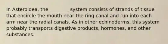 In Asteroidea, the ________ system consists of strands of tissue that encircle the mouth near the ring canal and run into each arm near the radial canals. As in other echinoderms, this system probably transports digestive products, hormones, and other substances.