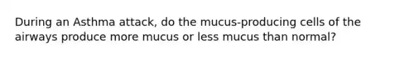 During an Asthma attack, do the mucus-producing cells of the airways produce more mucus or less mucus than normal?