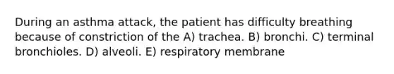 During an asthma attack, the patient has difficulty breathing because of constriction of the A) trachea. B) bronchi. C) terminal bronchioles. D) alveoli. E) respiratory membrane