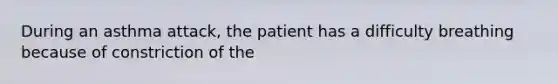 During an asthma attack, the patient has a difficulty breathing because of constriction of the