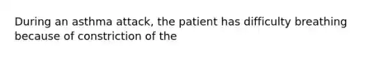 During an asthma attack, the patient has difficulty breathing because of constriction of the