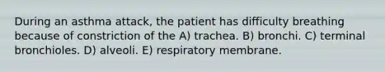 During an asthma attack, the patient has difficulty breathing because of constriction of the A) trachea. B) bronchi. C) terminal bronchioles. D) alveoli. E) respiratory membrane.