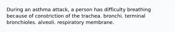 During an asthma attack, a person has difficulty breathing because of constriction of the trachea. bronchi. terminal bronchioles. alveoli. respiratory membrane.