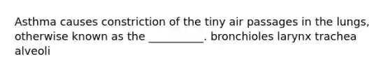 Asthma causes constriction of the tiny air passages in the lungs, otherwise known as the __________. bronchioles larynx trachea alveoli