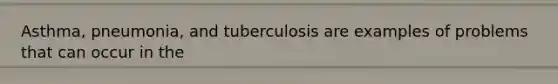 Asthma, pneumonia, and tuberculosis are examples of problems that can occur in the