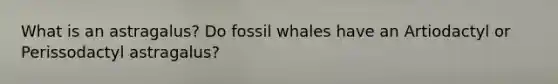 What is an astragalus? Do fossil whales have an Artiodactyl or Perissodactyl astragalus?