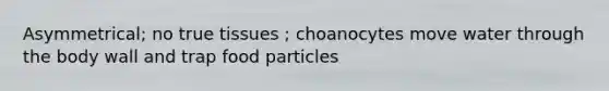 Asymmetrical; no true tissues ; choanocytes move water through the body wall and trap food particles