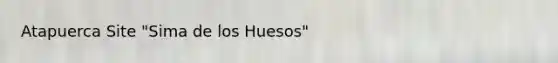 Atapuerca Site "Sima de los Huesos"