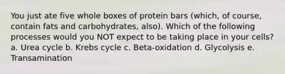 You just ate five whole boxes of protein bars (which, of course, contain fats and carbohydrates, also). Which of the following processes would you NOT expect to be taking place in your cells? a. Urea cycle b. <a href='https://www.questionai.com/knowledge/kqfW58SNl2-krebs-cycle' class='anchor-knowledge'>krebs cycle</a> c. Beta-oxidation d. Glycolysis e. Transamination