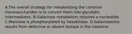 A.The overall strategy for metabolizing the common monosaccharides is to convert them into glycolytic intermediates. B.Galactose metabolism requires a nucleotide. C.Mannose is phosphorylated by hexokinase. D.Galactosemia results from defective or absent lactase in the intestine.