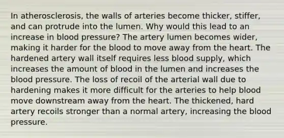 In atherosclerosis, the walls of arteries become thicker, stiffer, and can protrude into the lumen. Why would this lead to an increase in blood pressure? The artery lumen becomes wider, making it harder for the blood to move away from the heart. The hardened artery wall itself requires less blood supply, which increases the amount of blood in the lumen and increases the blood pressure. The loss of recoil of the arterial wall due to hardening makes it more difficult for the arteries to help blood move downstream away from the heart. The thickened, hard artery recoils stronger than a normal artery, increasing the blood pressure.