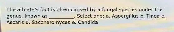 The athlete's foot is often caused by a fungal species under the genus, known as __________. Select one: a. Aspergillus b. Tinea c. Ascaris d. Saccharomyces e. Candida