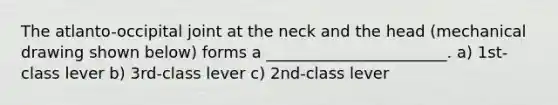 The atlanto-occipital joint at the neck and the head (mechanical drawing shown below) forms a _______________________. a) 1st-class lever b) 3rd-class lever c) 2nd-class lever