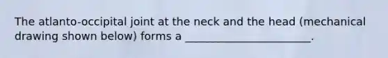 The atlanto-occipital joint at the neck and the head (mechanical drawing shown below) forms a _______________________.