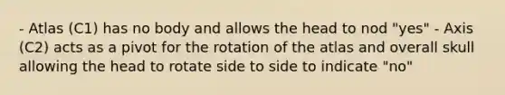 - Atlas (C1) has no body and allows the head to nod "yes" - Axis (C2) acts as a pivot for the rotation of the atlas and overall skull allowing the head to rotate side to side to indicate "no"