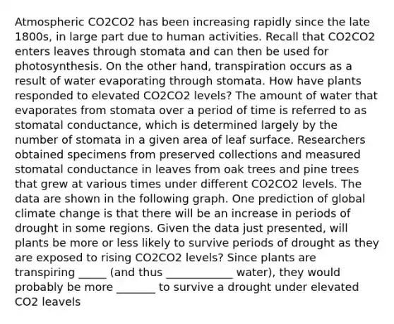 Atmospheric CO2CO2 has been increasing rapidly since the late 1800s, in large part due to human activities. Recall that CO2CO2 enters leaves through stomata and can then be used for photosynthesis. On the other hand, transpiration occurs as a result of water evaporating through stomata. How have plants responded to elevated CO2CO2 levels? The amount of water that evaporates from stomata over a period of time is referred to as stomatal conductance, which is determined largely by the number of stomata in a given area of leaf surface. Researchers obtained specimens from preserved collections and measured stomatal conductance in leaves from oak trees and pine trees that grew at various times under different CO2CO2 levels. The data are shown in the following graph. One prediction of global climate change is that there will be an increase in periods of drought in some regions. Given the data just presented, will plants be more or less likely to survive periods of drought as they are exposed to rising CO2CO2 levels? Since plants are transpiring _____ (and thus ____________ water), they would probably be more _______ to survive a drought under elevated CO2 leavels