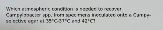 Which atmospheric condition is needed to recover Campylobacter spp. from specimens inoculated onto a Campy-selective agar at 35°C-37°C and 42°C?