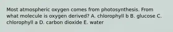 Most atmospheric oxygen comes from photosynthesis. From what molecule is oxygen derived? A. chlorophyll b B. glucose C. chlorophyll a D. carbon dioxide E. water