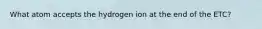 What atom accepts the hydrogen ion at the end of the ETC?