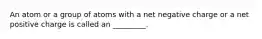 An atom or a group of atoms with a net negative charge or a net positive charge is called an _________.