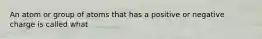 An atom or group of atoms that has a positive or negative charge is called what