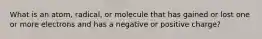 What is an atom, radical, or molecule that has gained or lost one or more electrons and has a negative or positive charge?